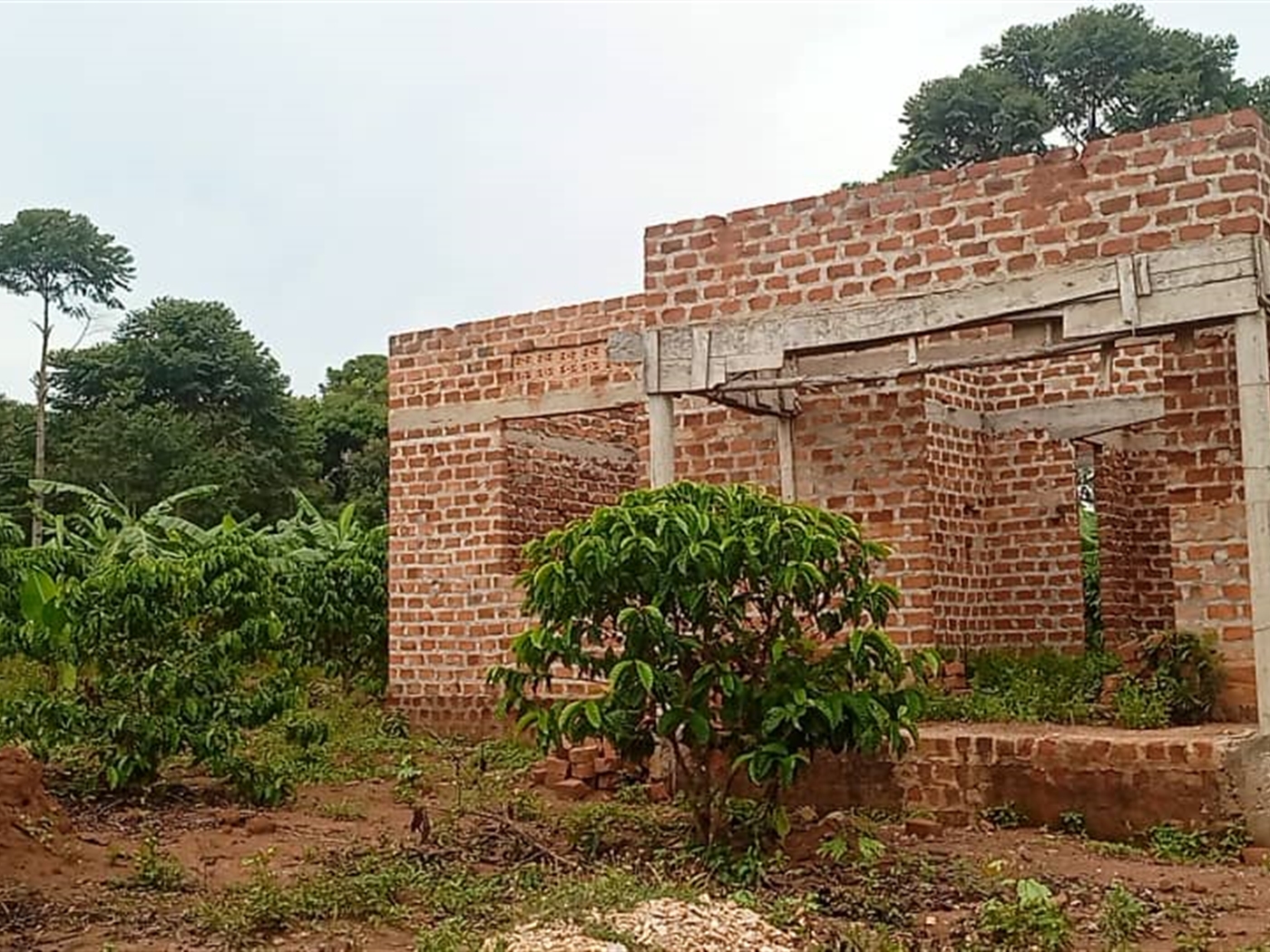 Shell House for sale in Luweero Luweero