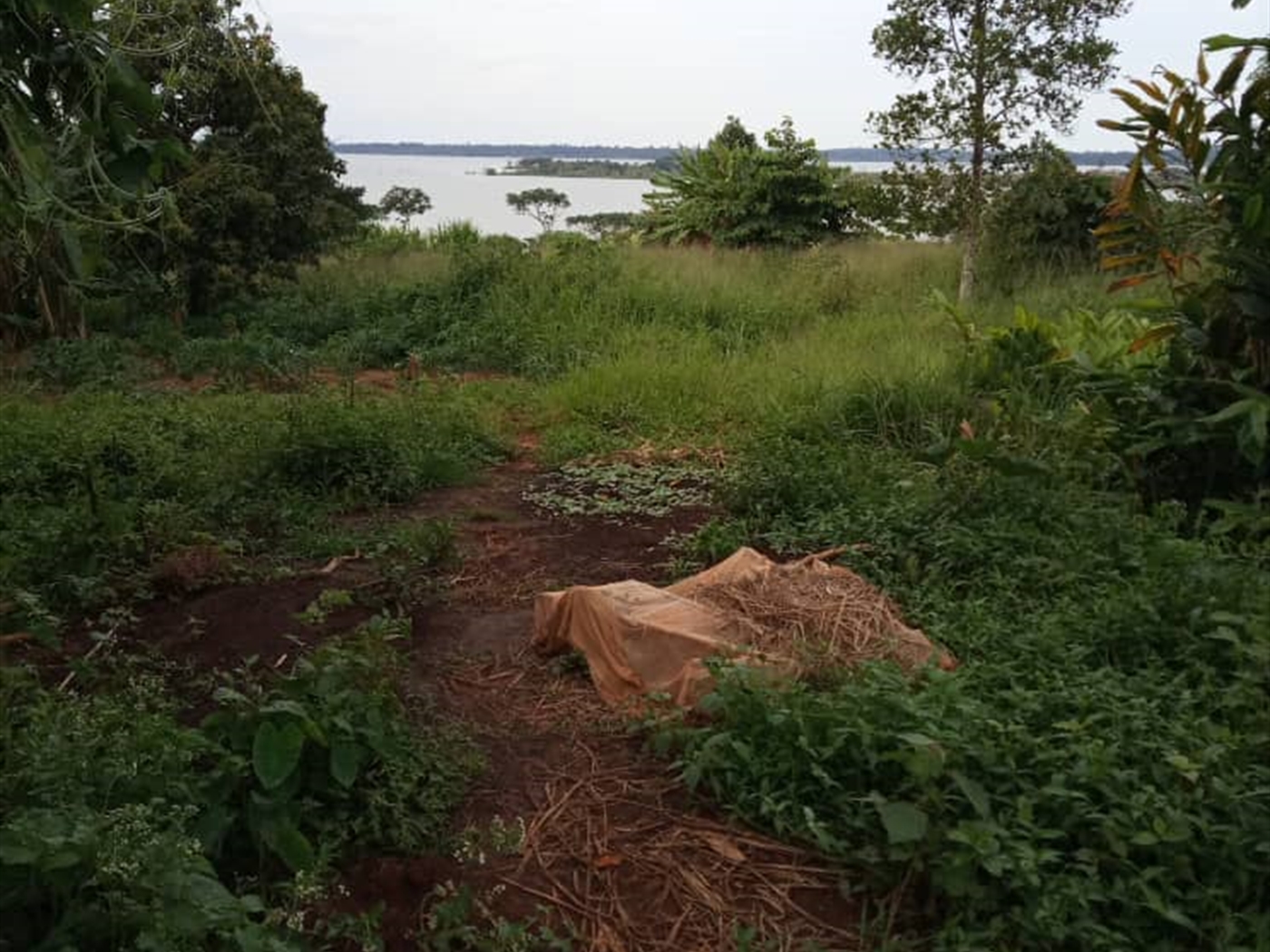 Multipurpose Land for sale in Koome Wakiso