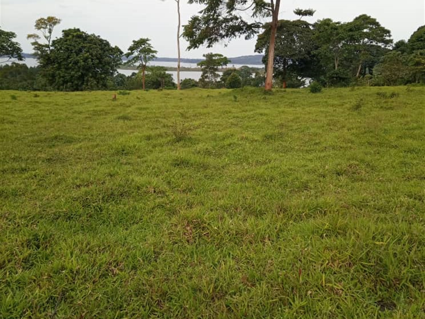 Multipurpose Land for sale in Koome Wakiso