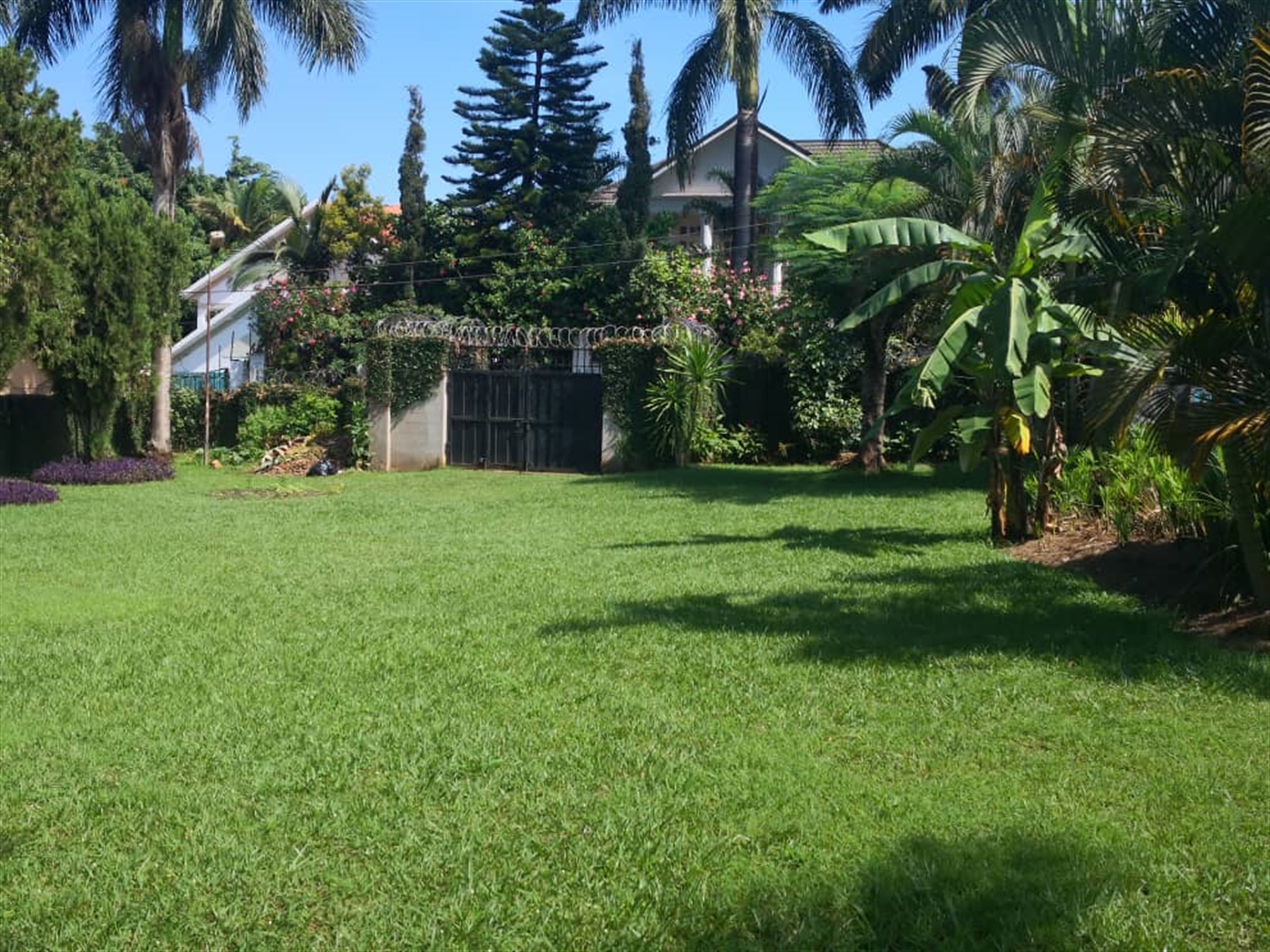 Mansion for rent in Munyonyo Mubende