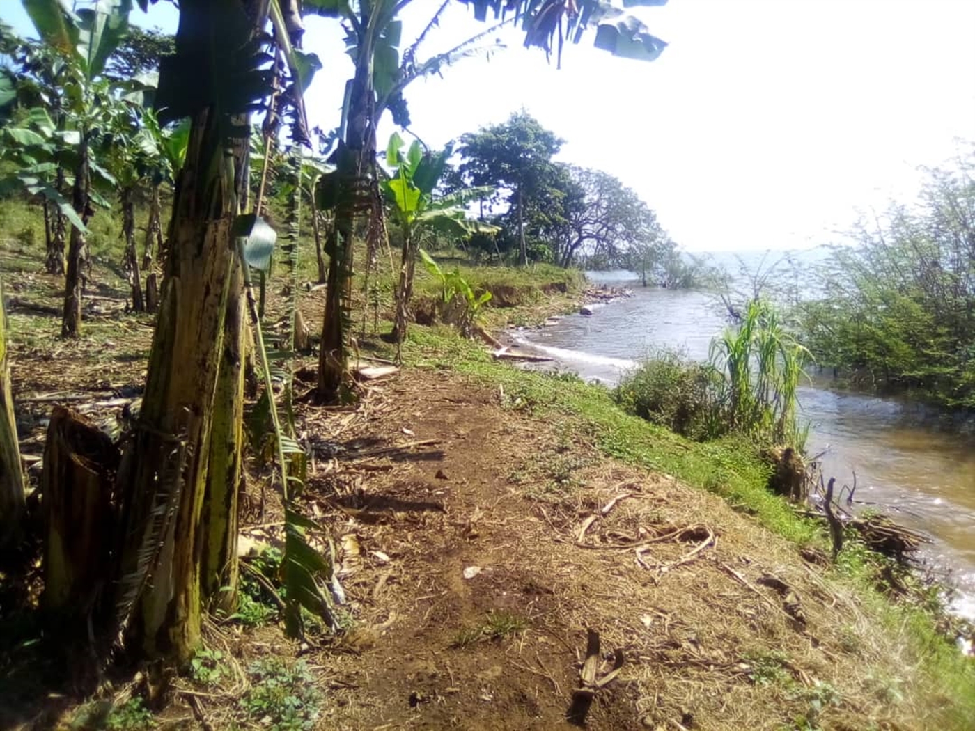 Multipurpose Land for sale in Bubwa Buyikwe