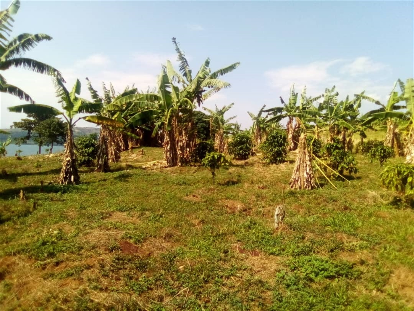 Multipurpose Land for sale in Bubwa Buyikwe