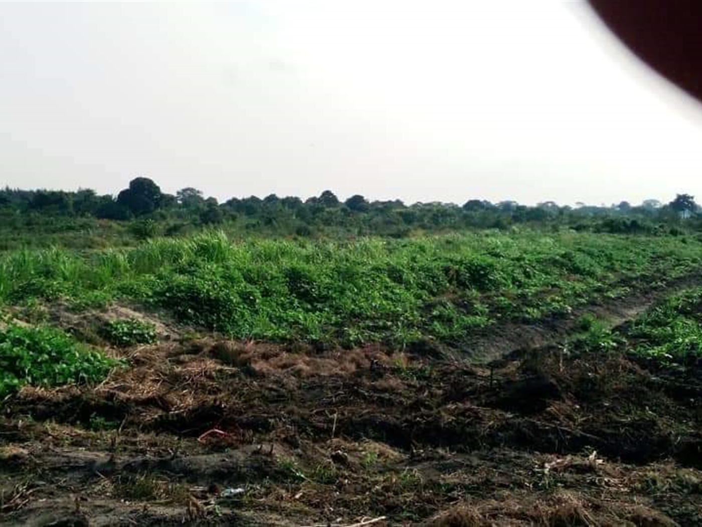 Multipurpose Land for sale in Ziloobwe Luweero