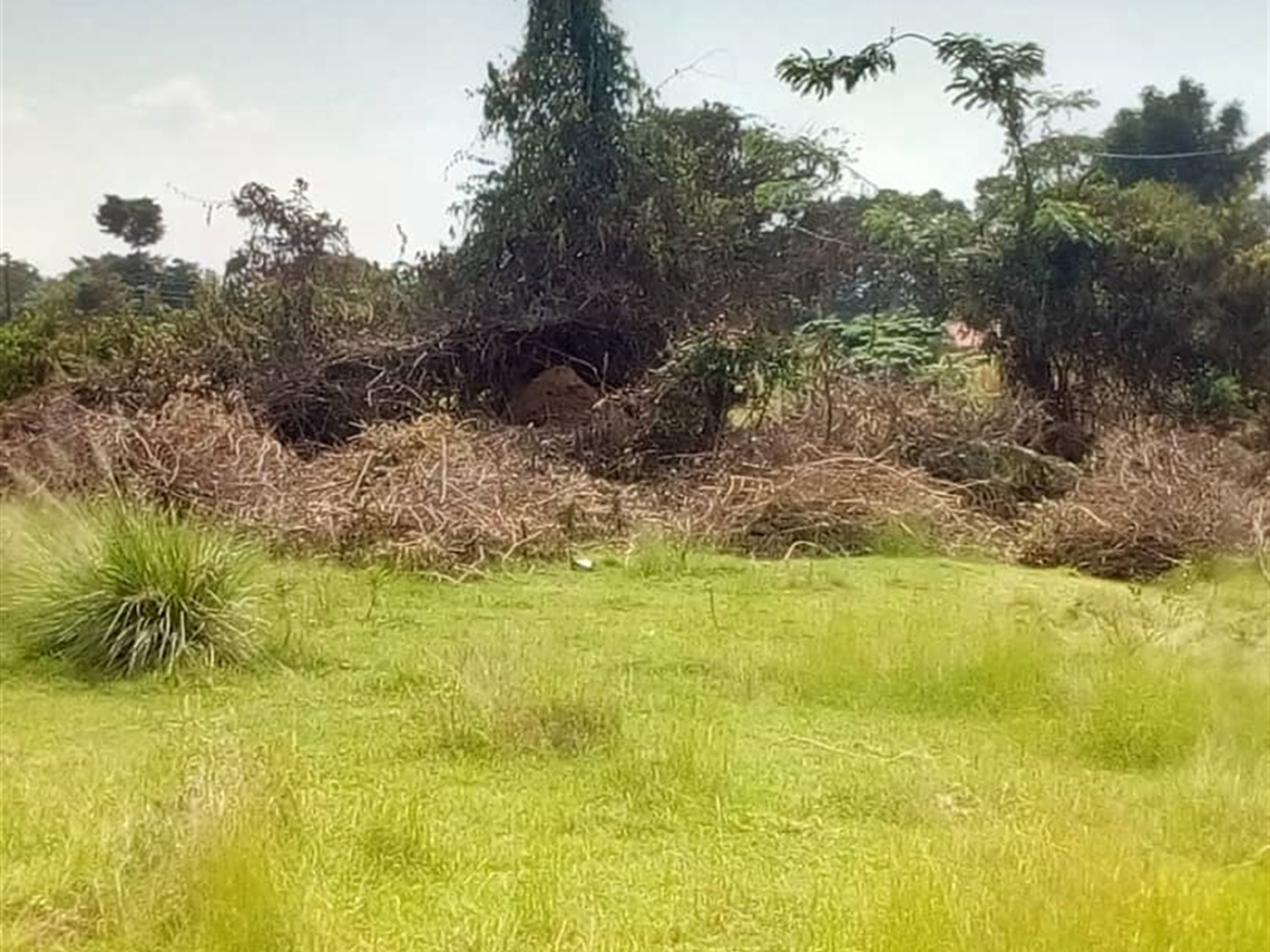 Multipurpose Land for sale in Bukasa Wakiso