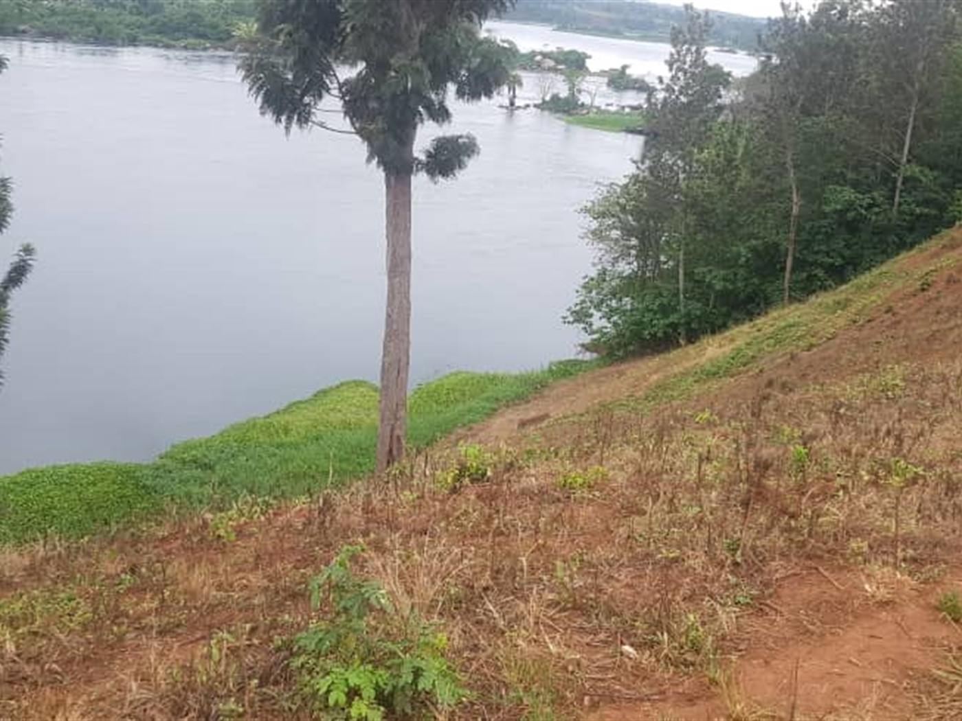 Multipurpose Land for sale in Jinjacenter Jinja