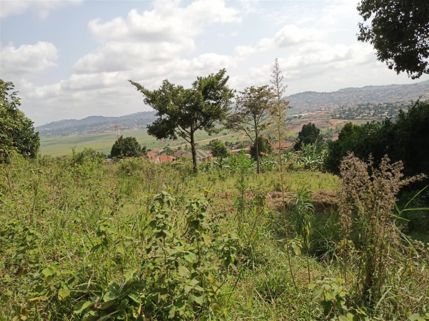 Multipurpose Land for sale in Lubowa Wakiso