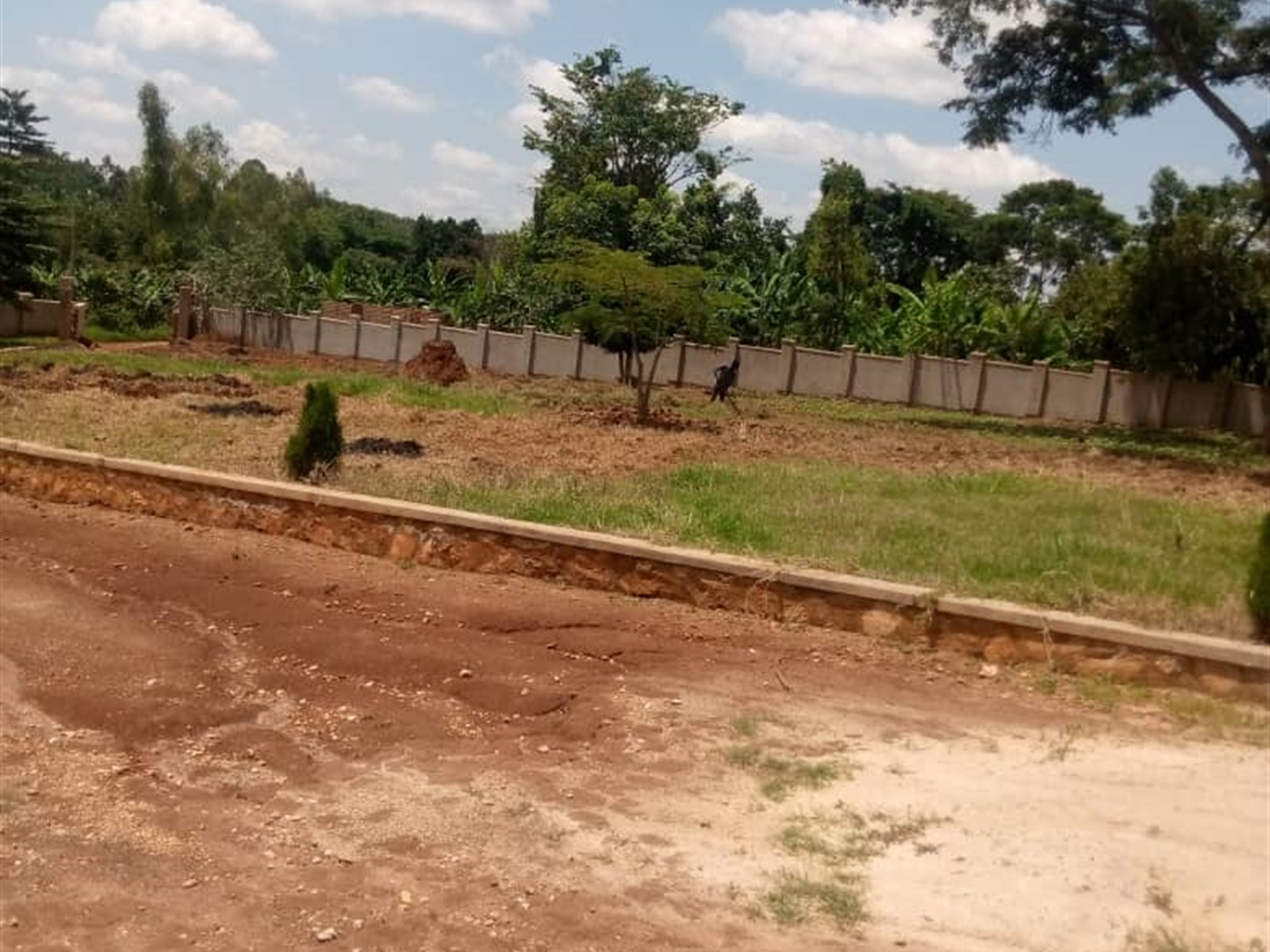 Mansion for sale in Bombo Luweero