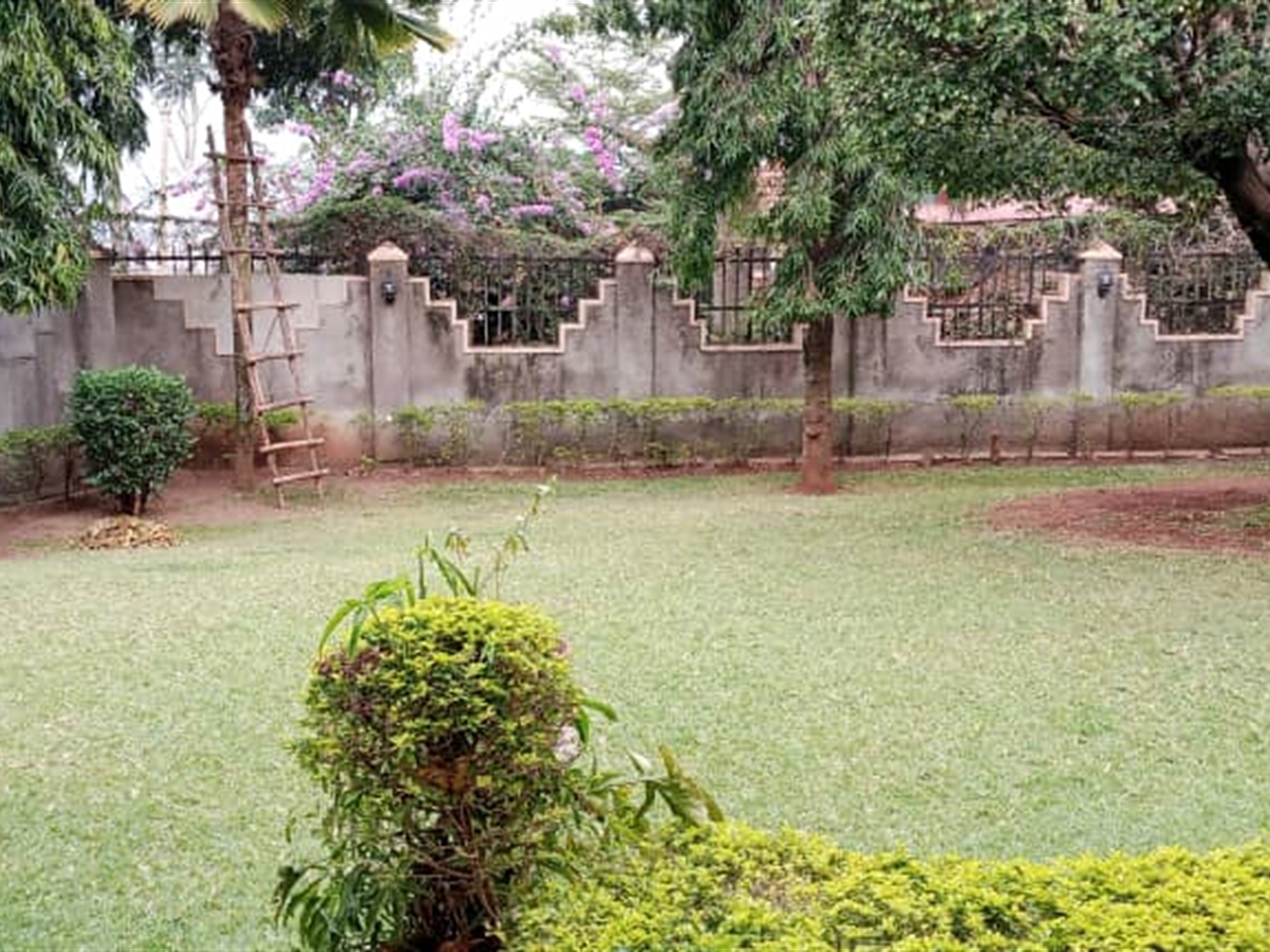 Storeyed house for rent in Bugoloobi Kampala