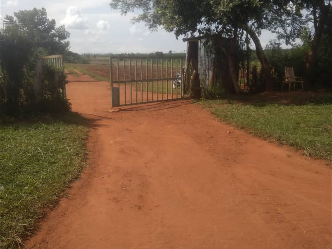 Farm for sale in Kakooge Nakasongola