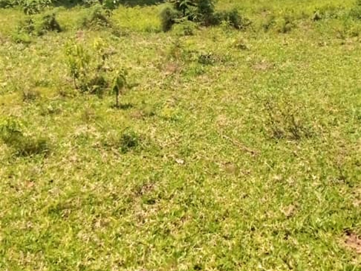 Commercial Land for sale in Mpuuge Mukono