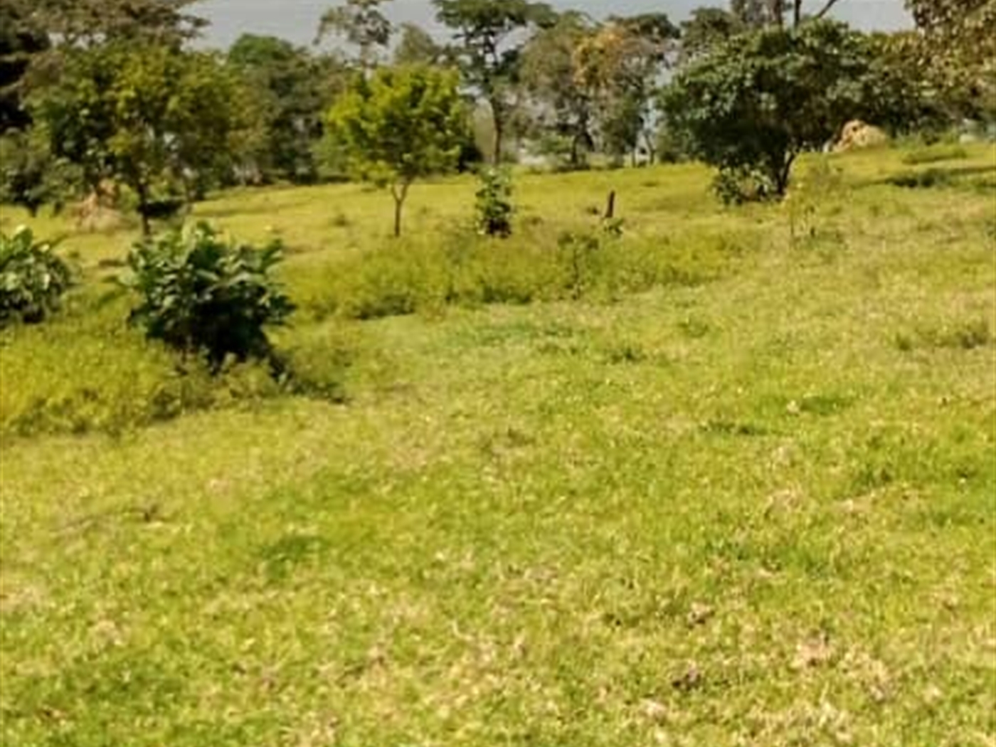 Commercial Land for sale in Mpuuge Mukono