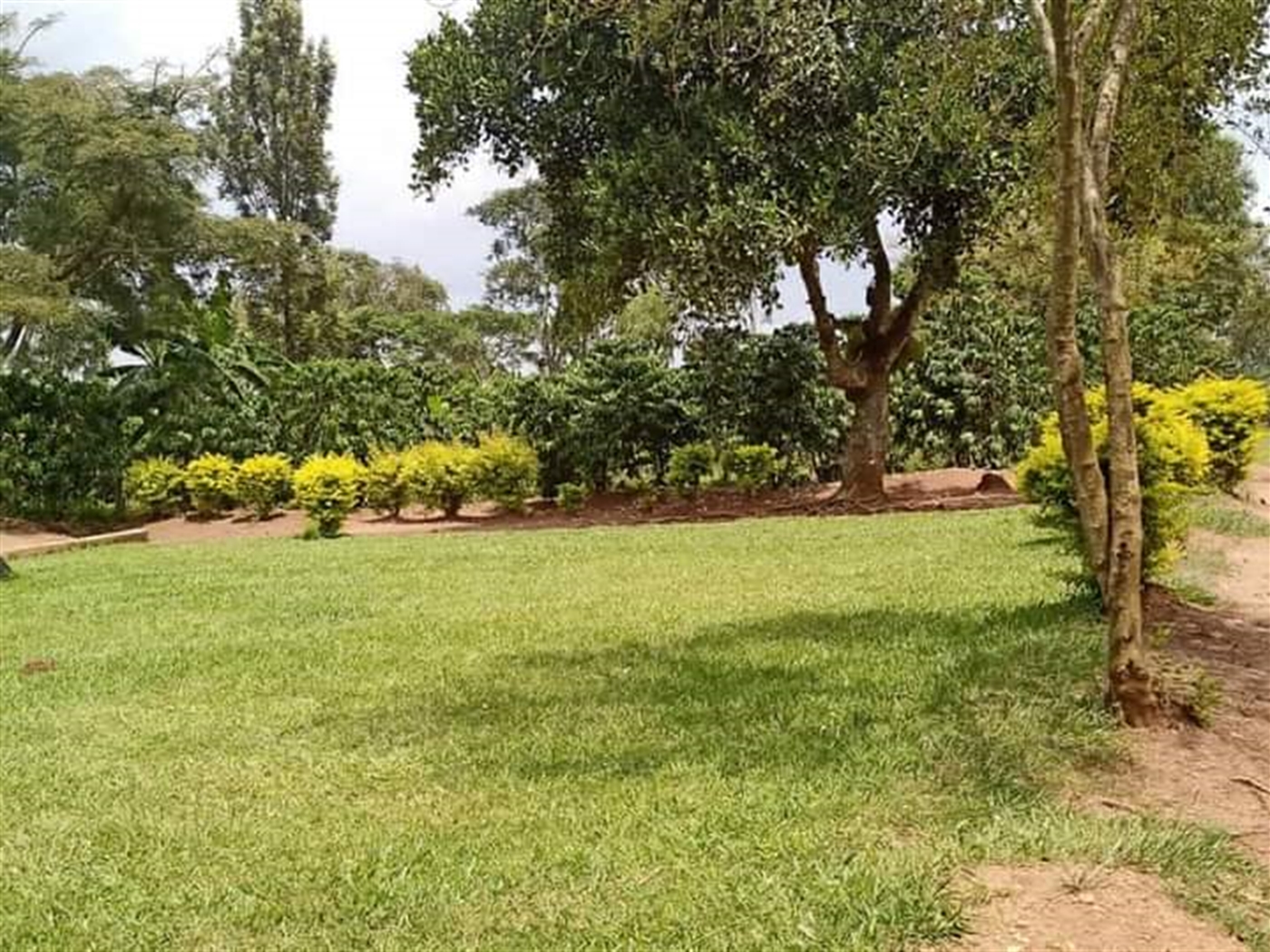 Bungalow for sale in Wobulenzi Wakiso