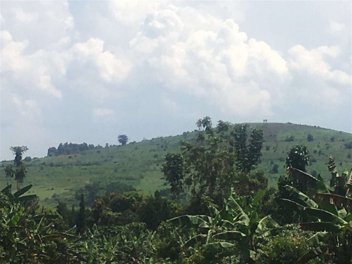 Agricultural Land for sale in Kakiri Wakiso