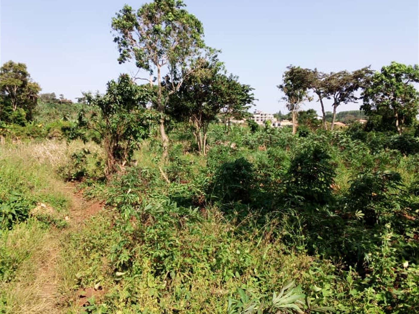 Multipurpose Land for sale in Bugiri Wakiso