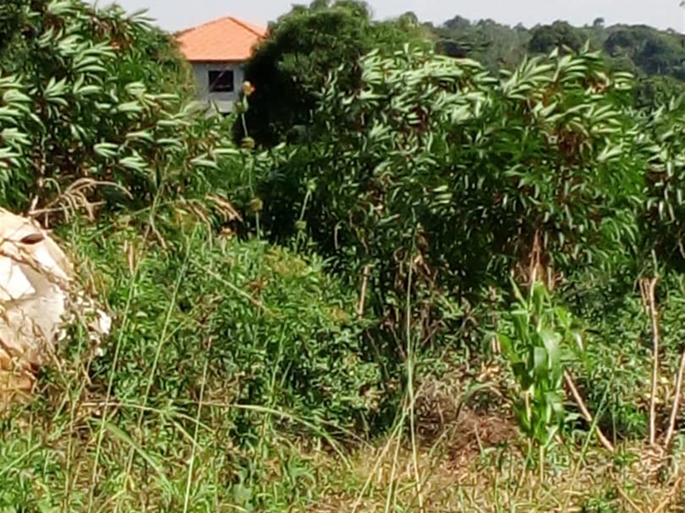 Multipurpose Land for sale in Bugiri Wakiso