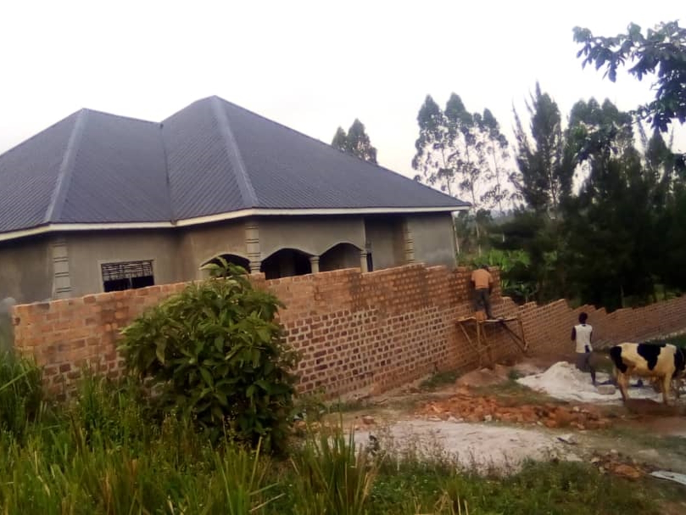 Bungalow for sale in Matugga Wakiso