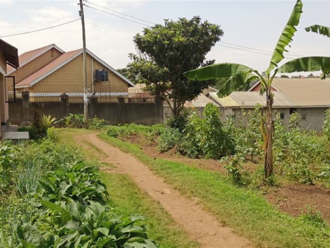 Bungalow for sale in Bukoto Kampala