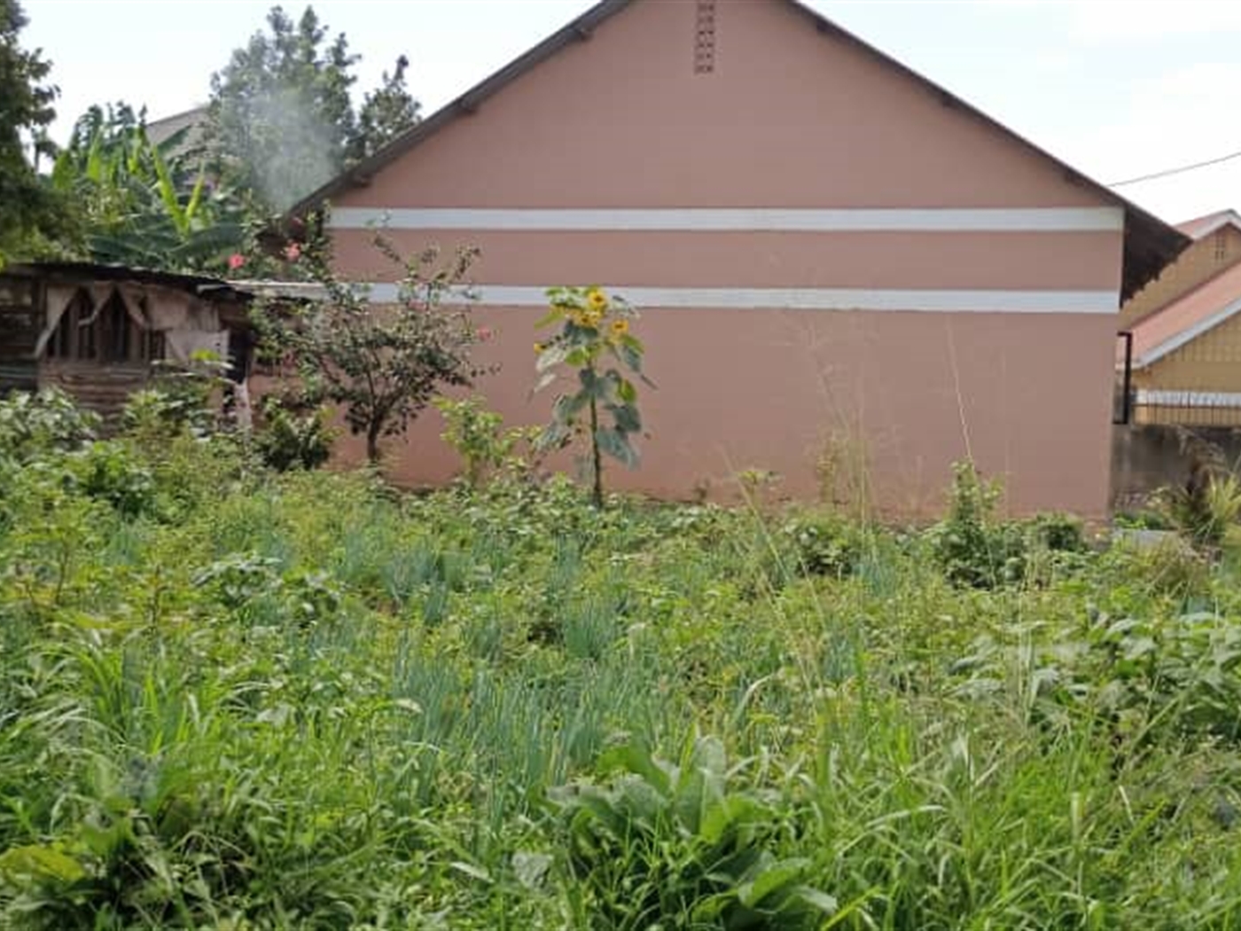 Bungalow for sale in Bukoto Kampala