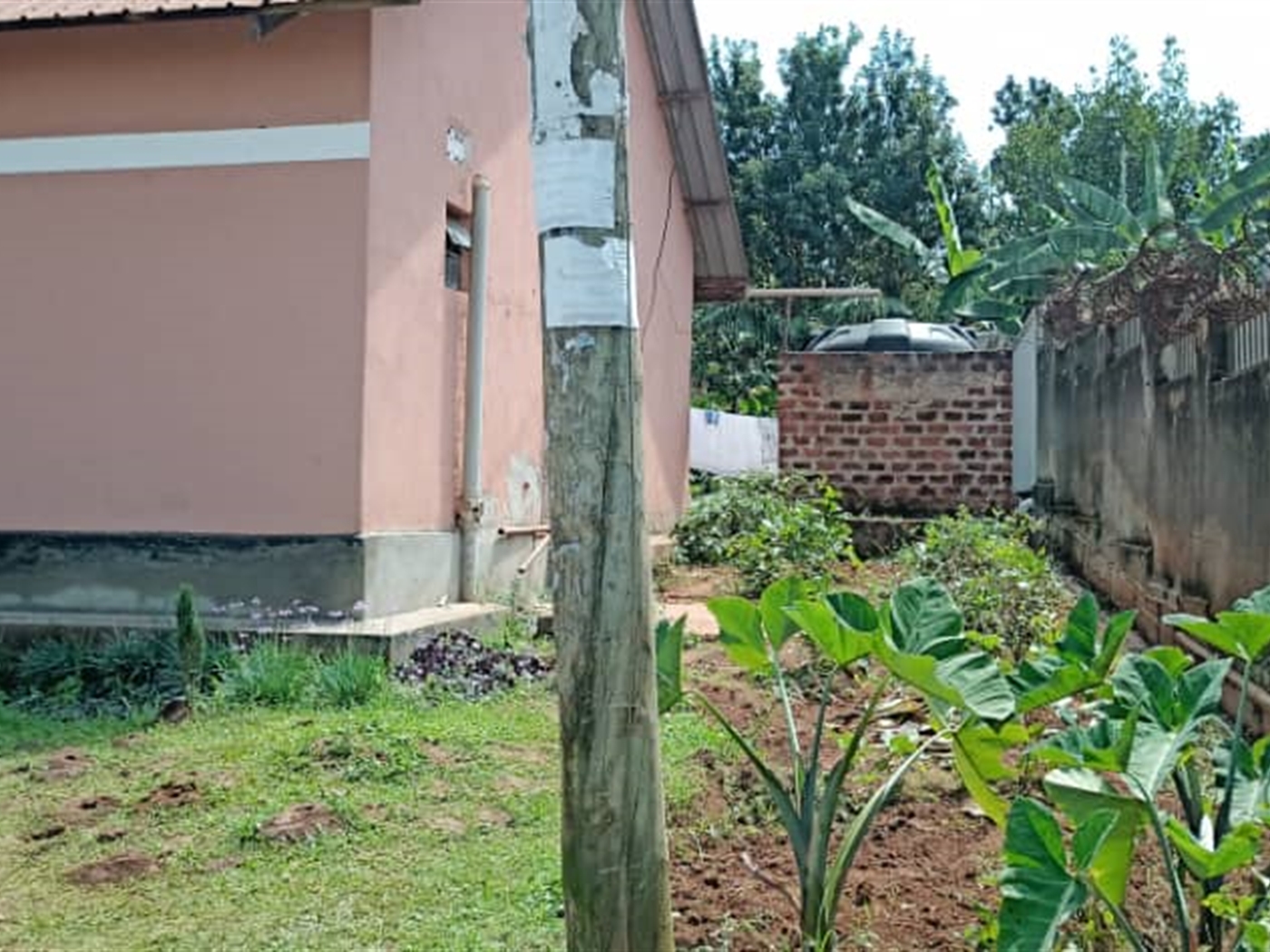 Bungalow for sale in Bukoto Kampala