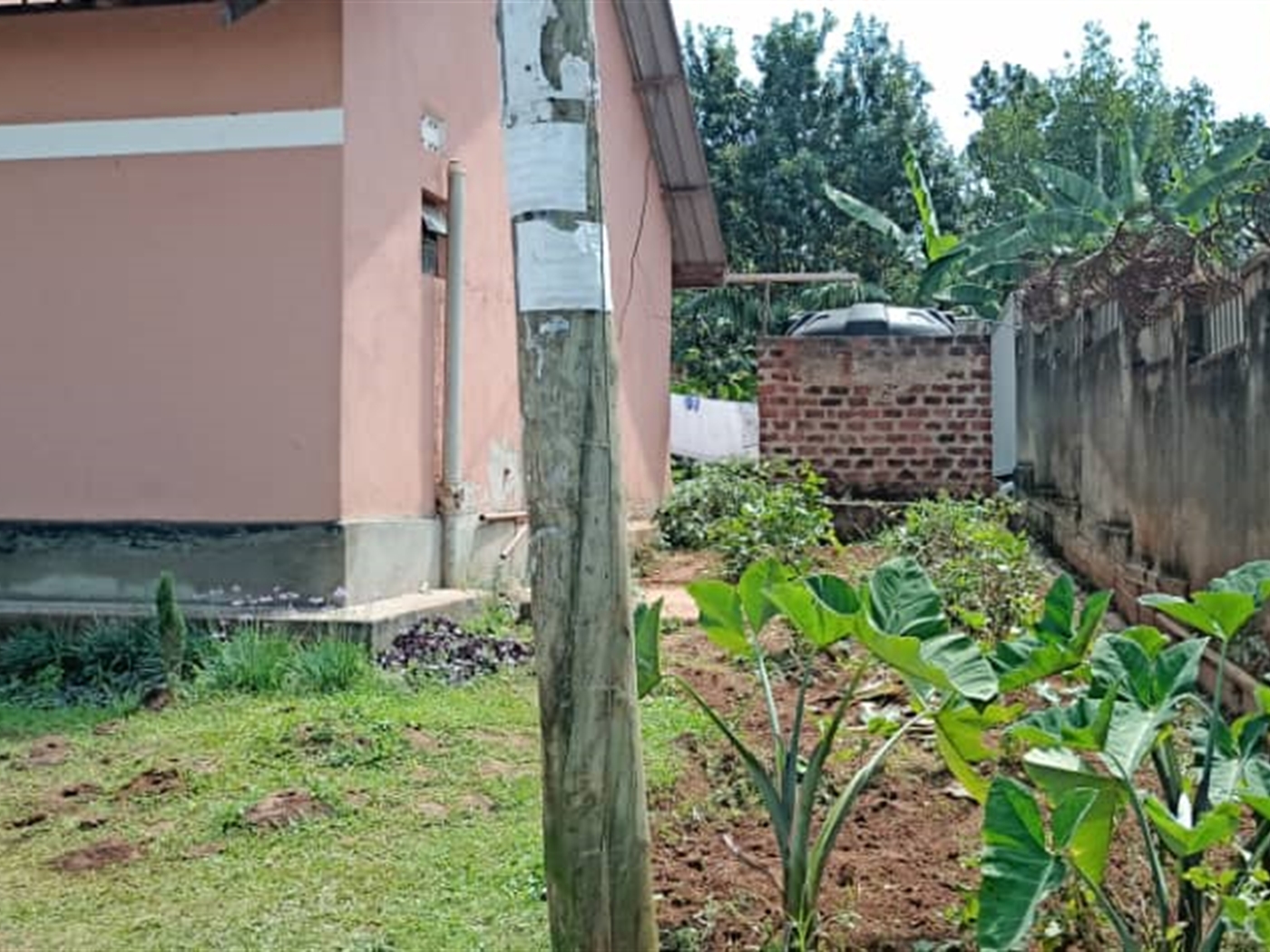 Bungalow for sale in Bukoto Kampala