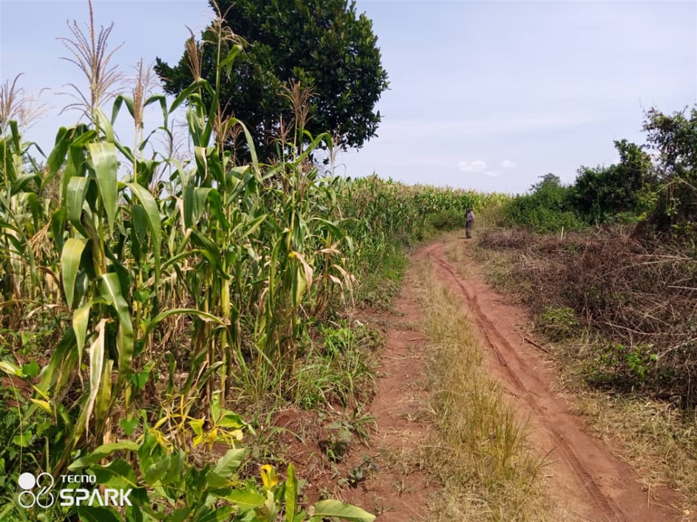 Multipurpose Land for sale in Bukwiri Kiboga