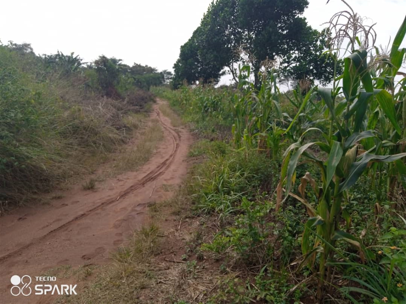 Multipurpose Land for sale in Bukwiri Kiboga