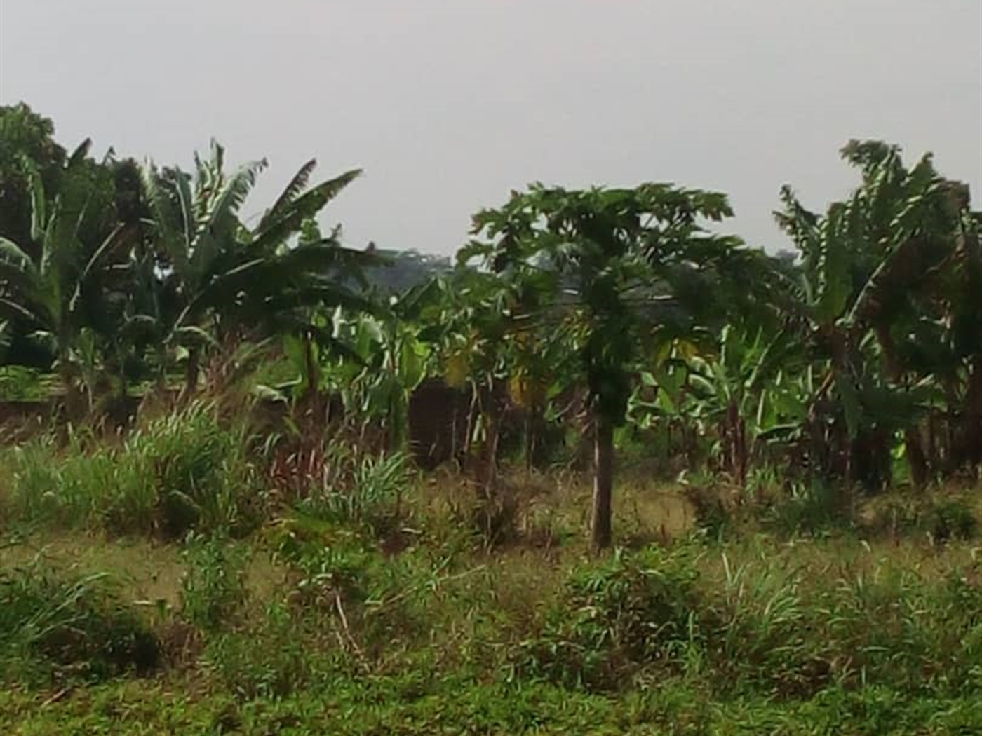 Commercial Land for sale in Bukasa Wakiso