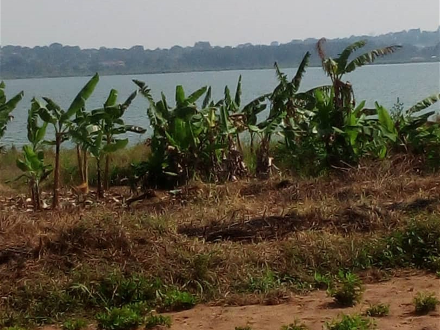 Commercial Land for sale in Bukasa Wakiso