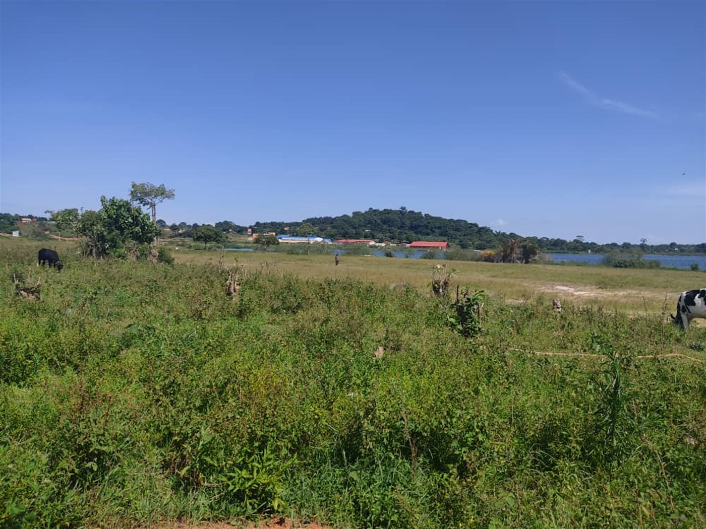 Multipurpose Land for sale in Garuga Wakiso