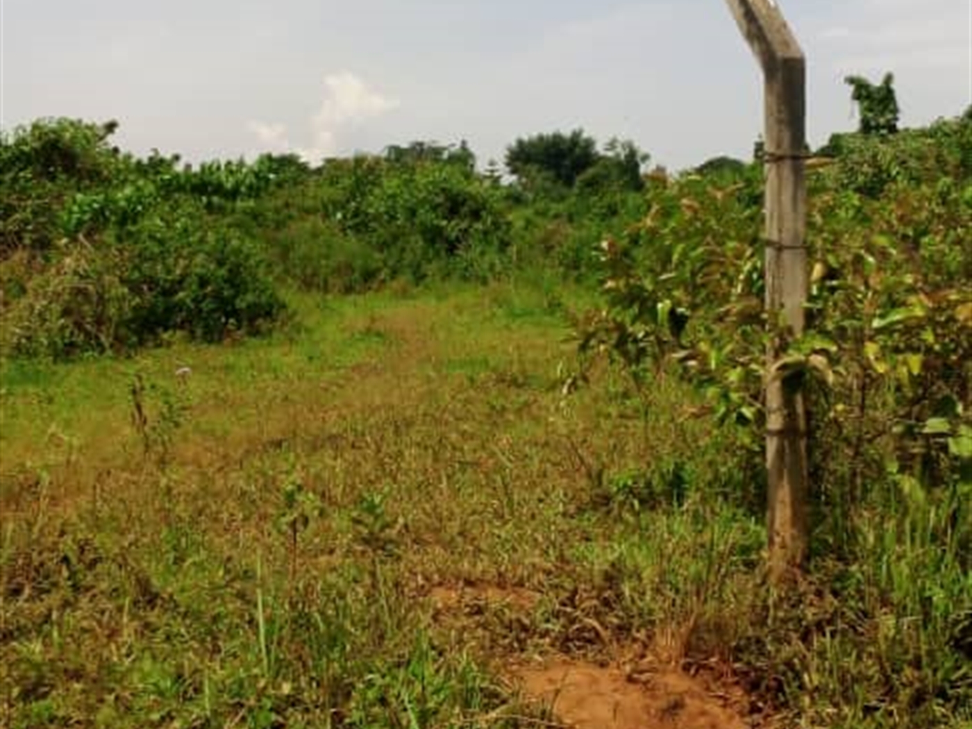 Multipurpose Land for sale in Bukasa Wakiso