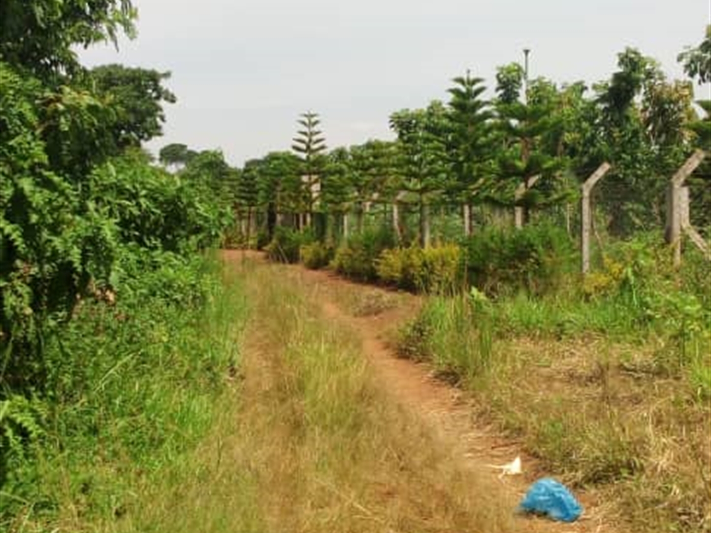 Multipurpose Land for sale in Bukasa Wakiso