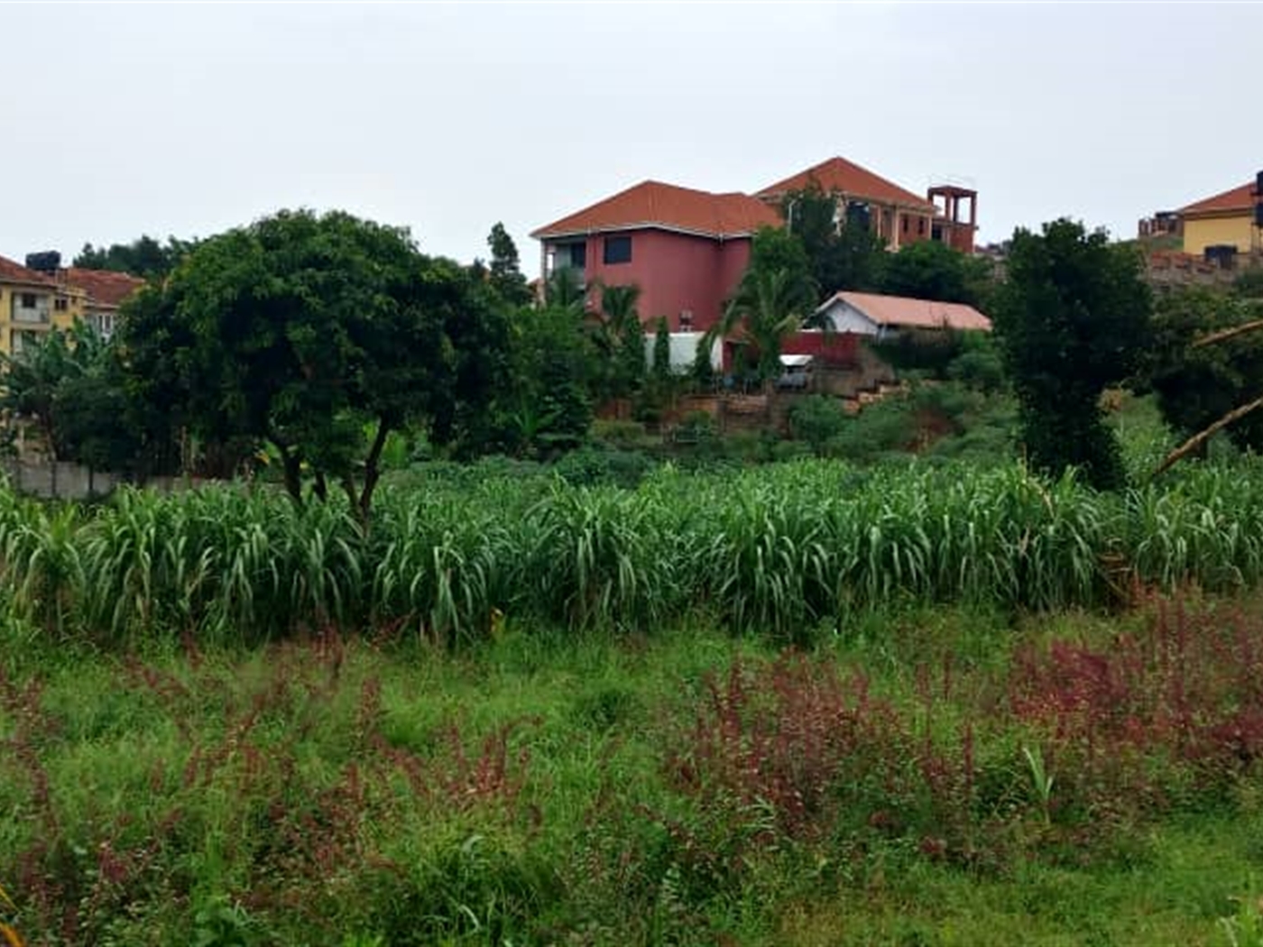 Multipurpose Land for sale in Lubowa Wakiso