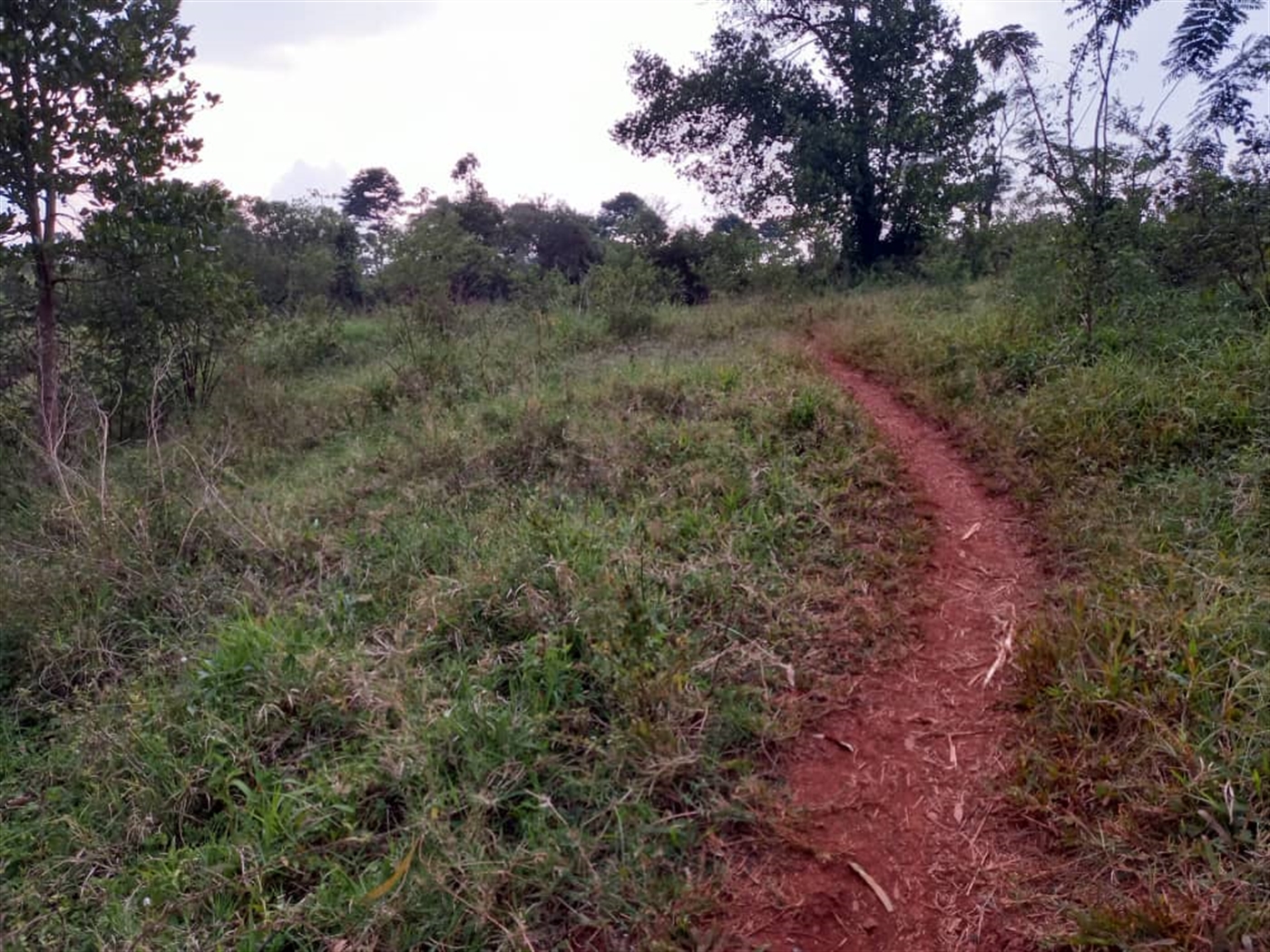 Multipurpose Land for sale in Kyabirwa Jinja