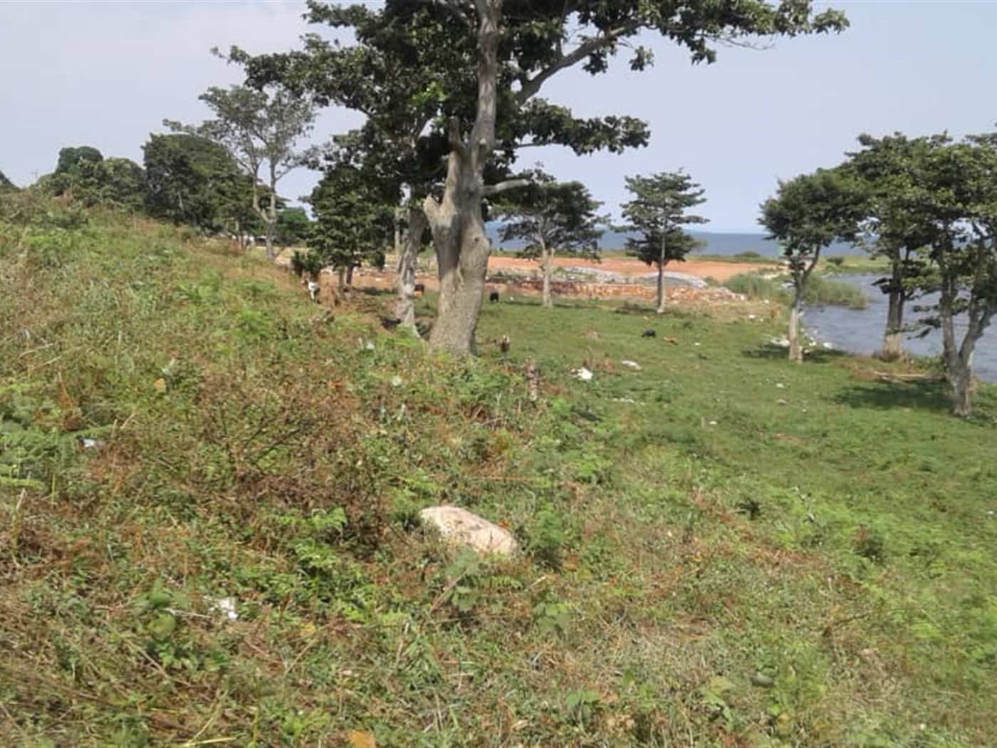 Multipurpose Land for sale in Entebbe Wakiso