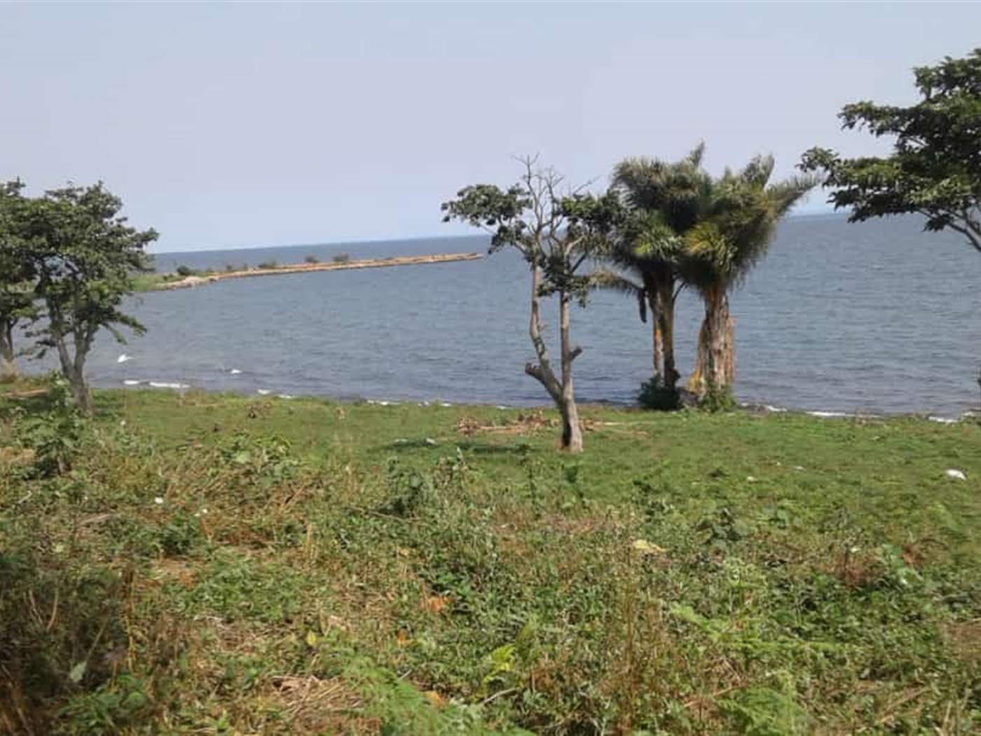 Multipurpose Land for sale in Entebbe Wakiso