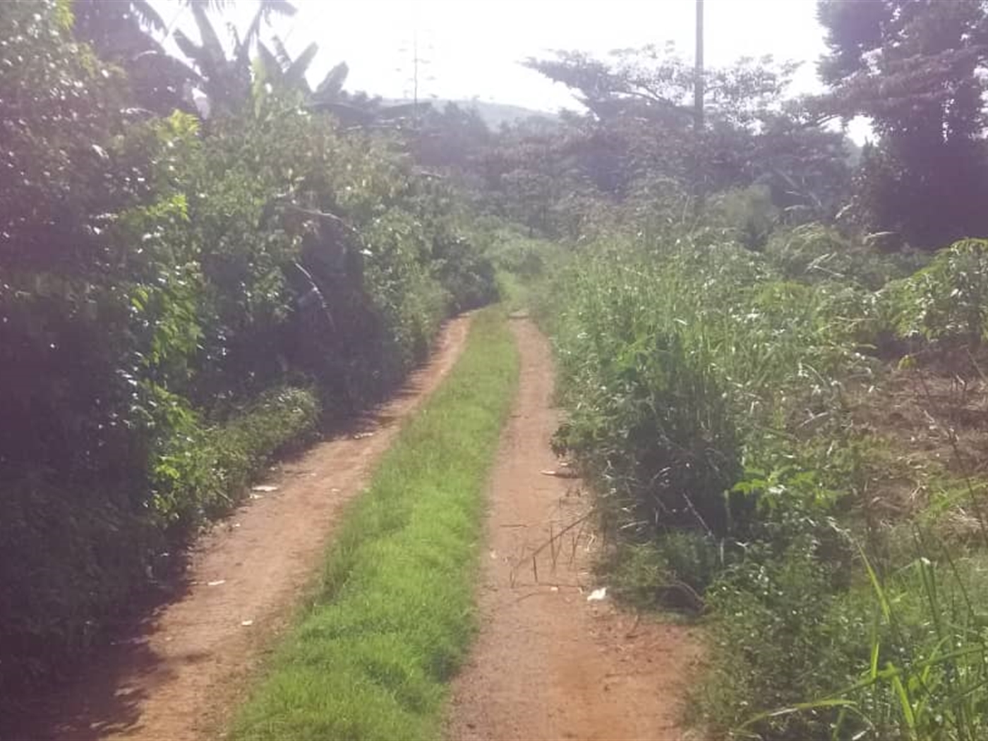 Multipurpose Land for sale in Kitende Wakiso