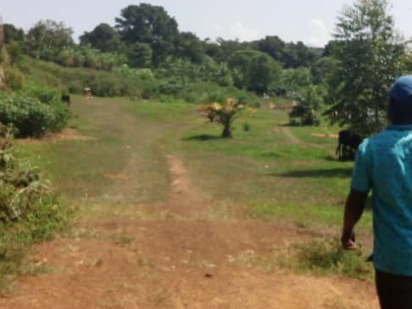 Multipurpose Land for sale in Kiwuulwe Wakiso