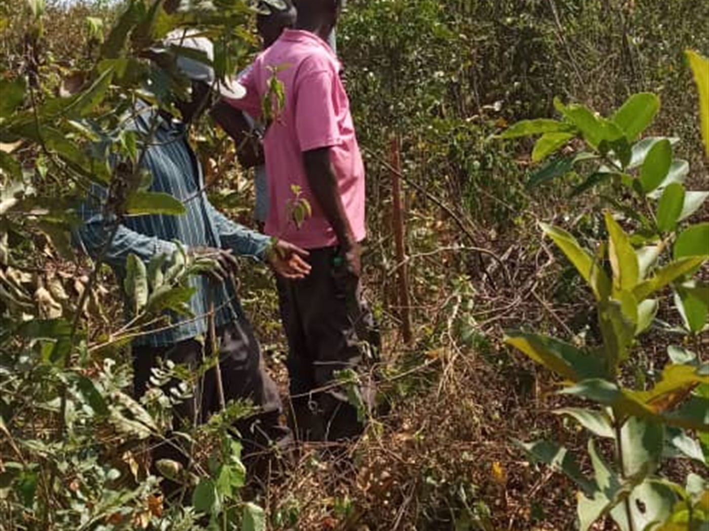 Multipurpose Land for sale in Kakinzi Luweero