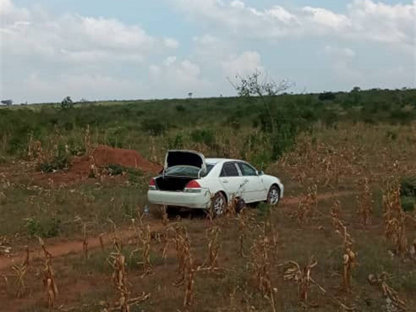 Multipurpose Land for sale in Kakinzi Luweero