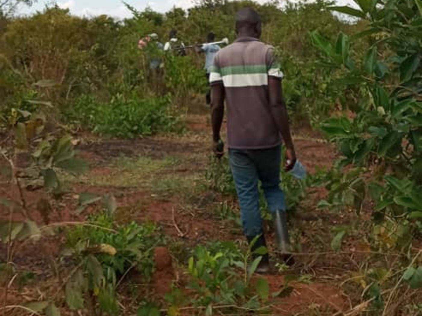 Multipurpose Land for sale in Kakinzi Luweero