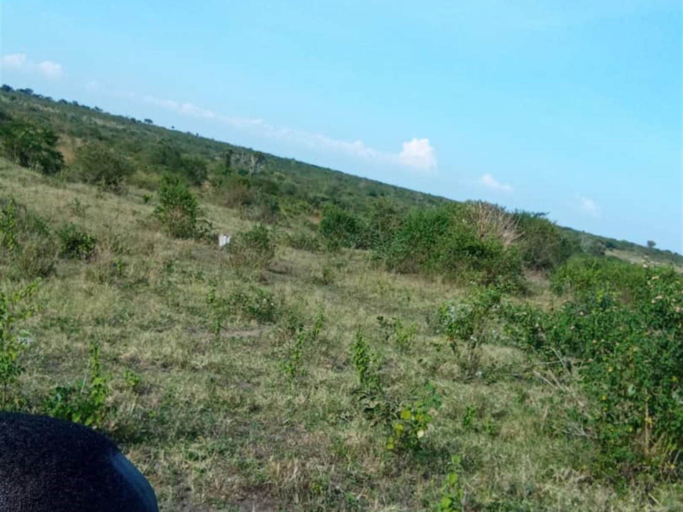 Multipurpose Land for sale in Kakinzi Luweero