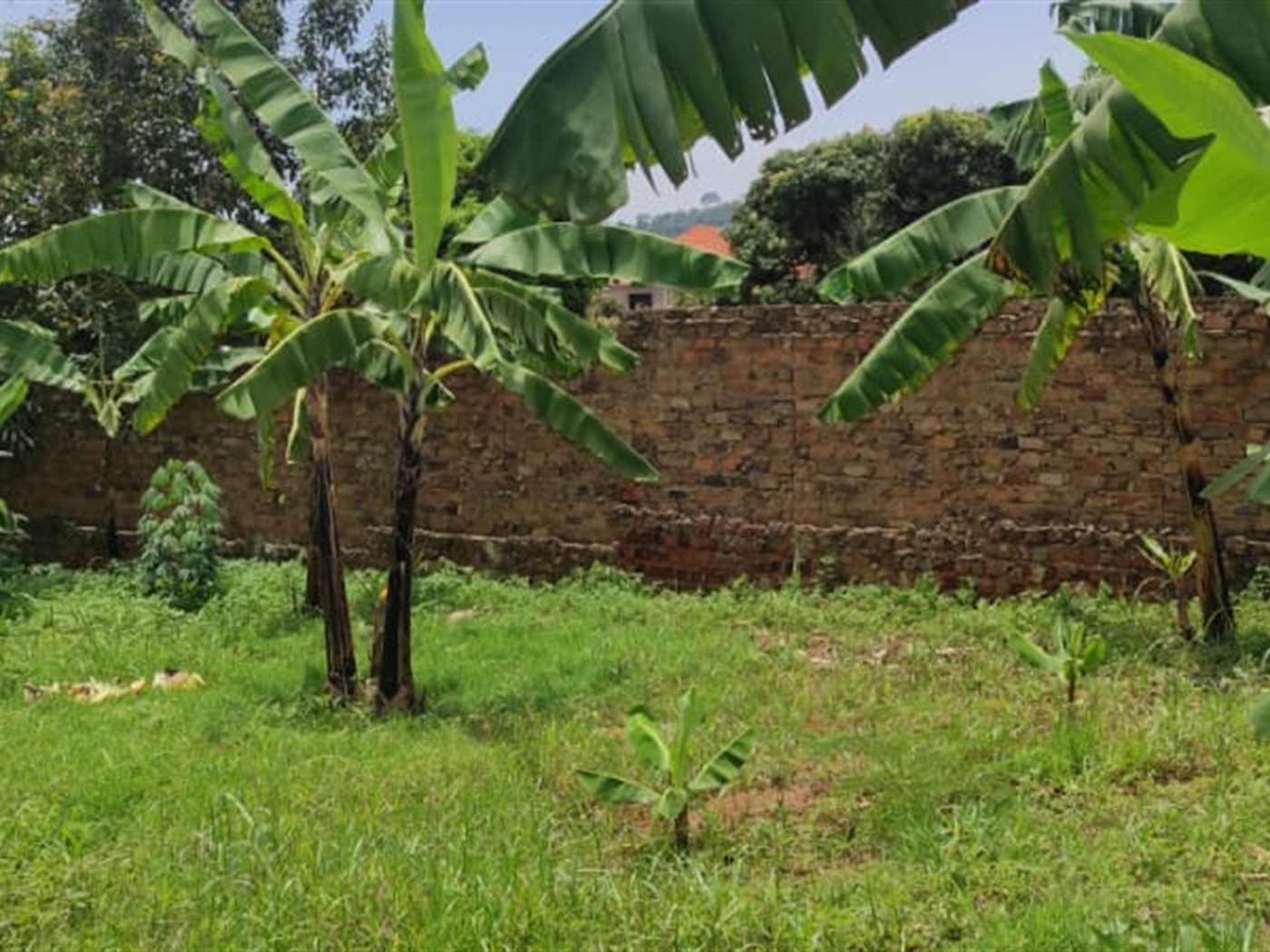 Multipurpose Land for sale in Bweya Wakiso