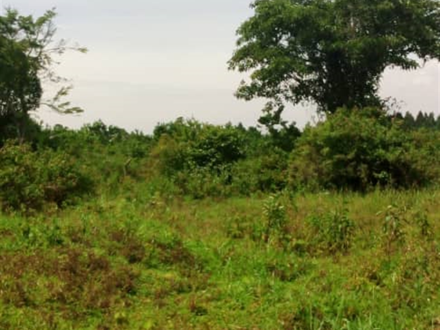 Multipurpose Land for sale in Bukasa Wakiso