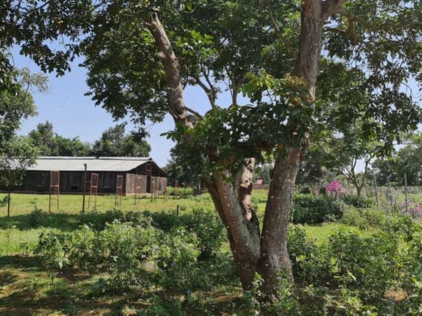Multipurpose Land for sale in Bwelenga Wakiso