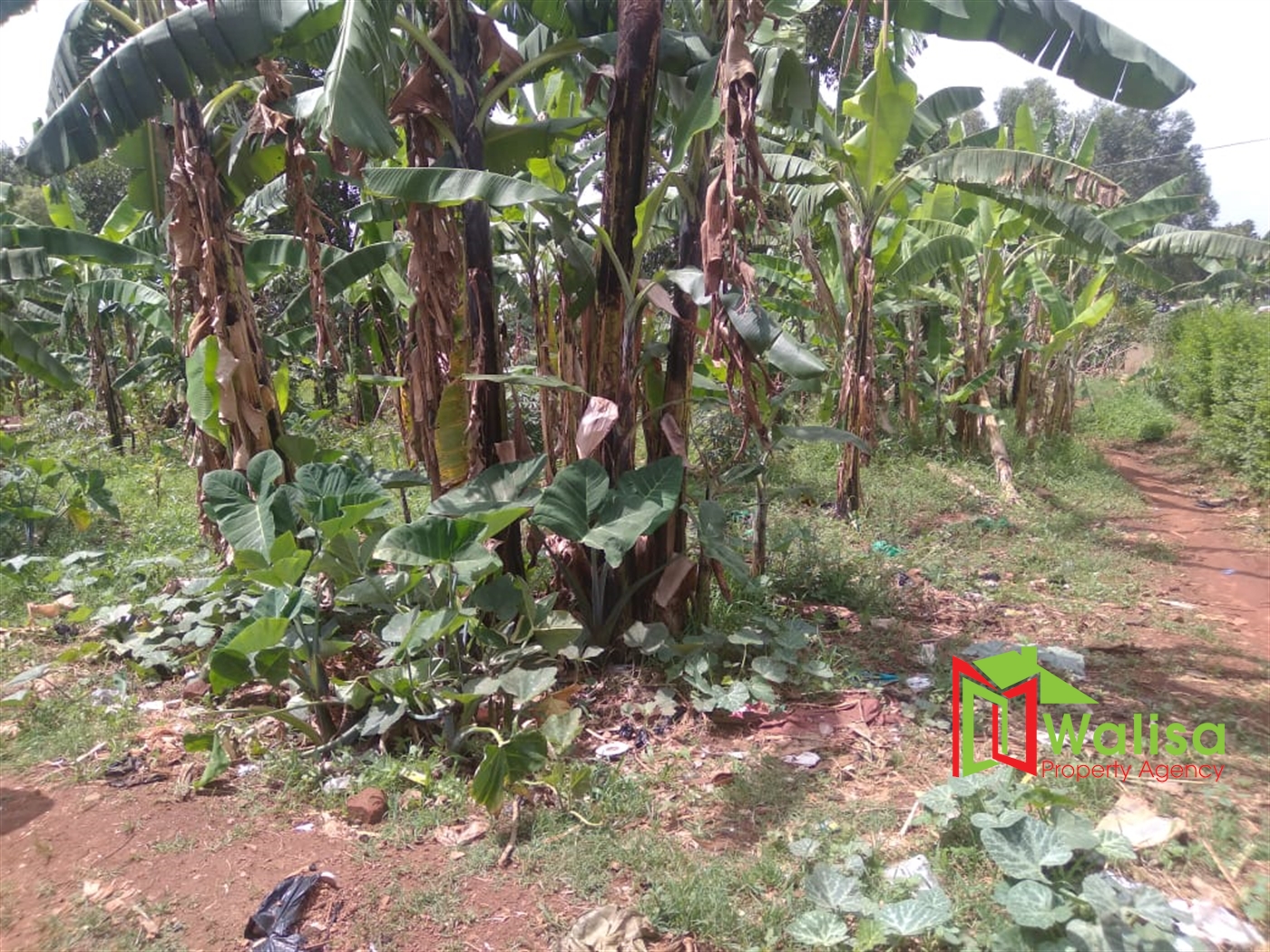 Multipurpose Land for sale in Seguku Wakiso