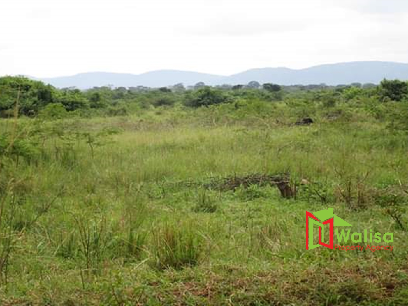 Multipurpose Land for sale in Bukomelo Kiboga