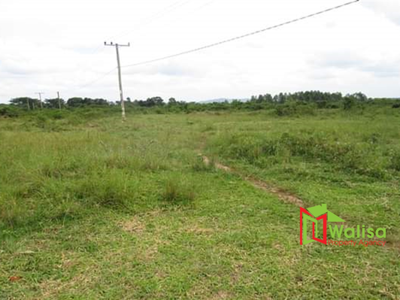Multipurpose Land for sale in Bukomelo Kiboga