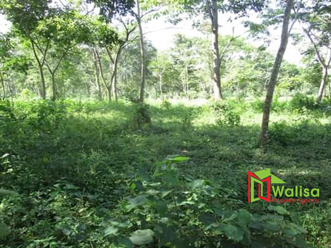 Commercial Land for sale in Njeru Jinja