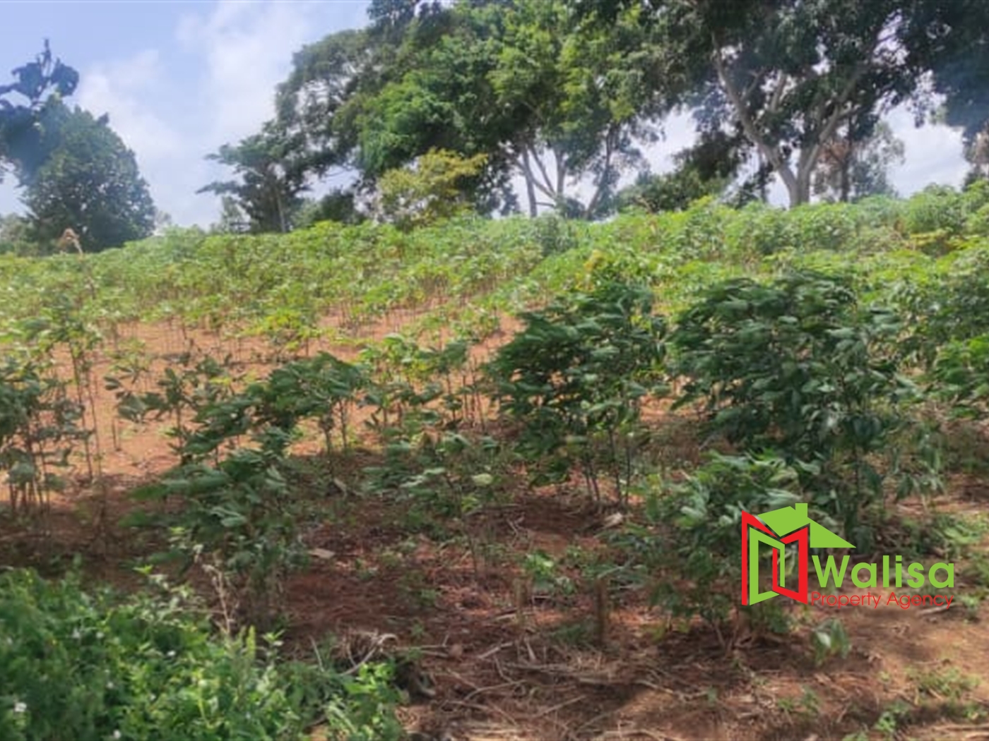 Multipurpose Land for sale in Bukasa Wakiso