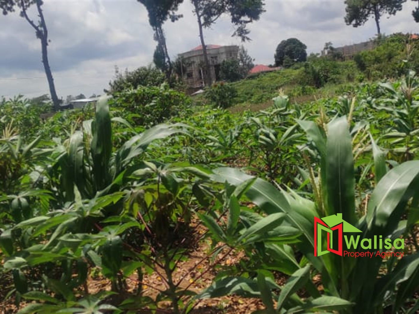 Multipurpose Land for sale in Bukasa Wakiso